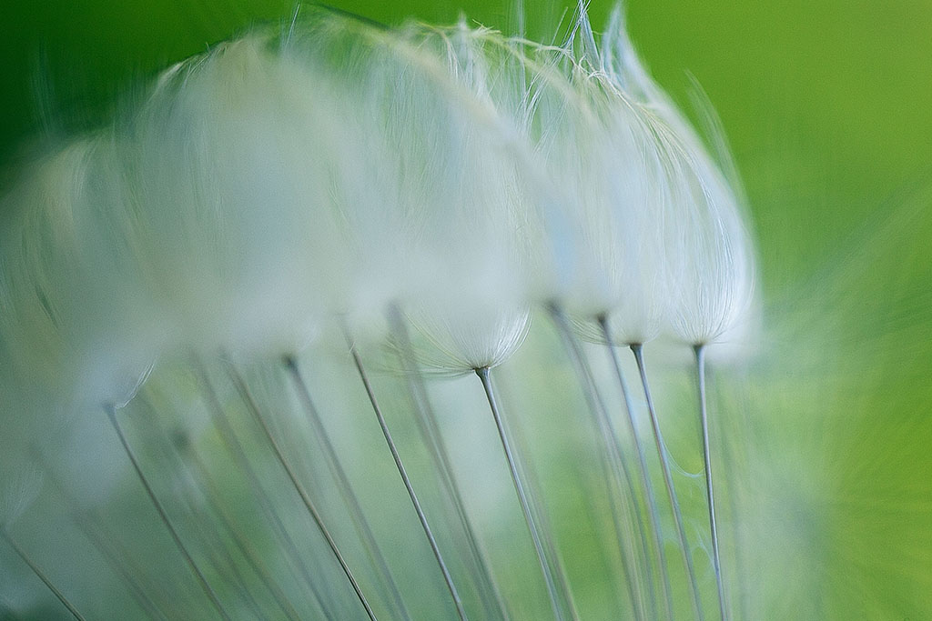 Photographer of the Year 2014: Featured Portfolio #3